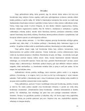 Biurokratijos vaidmuo modernioje visuomenėje 14 puslapis