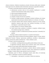 Biurokratijos vaidmuo modernioje visuomenėje 5 puslapis