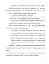 Biurokratijos vaidmuo modernioje visuomenėje 6 puslapis