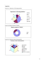 Brand audit: "DaNa ir Ko" Ltd. 13 puslapis