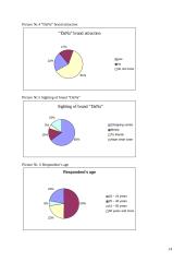 Brand audit: "DaNa ir Ko" Ltd. 14 puslapis