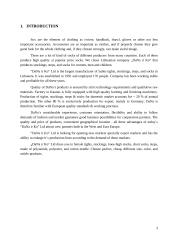 Brand audit: "DaNa ir Ko" Ltd. 3 puslapis