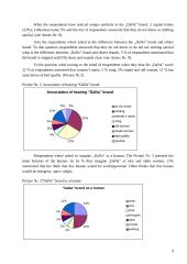 Brand audit: "DaNa ir Ko" Ltd. 9 puslapis