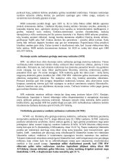 Branduolinės energetikos esmė 12 puslapis