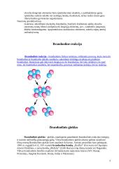 Branduolinės energetikos esmė 2 puslapis