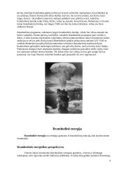 Branduolinės energetikos esmė 3 puslapis