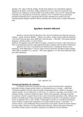 Branduolinės energetikos esmė 4 puslapis