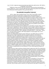 Branduolinės energetikos esmė 6 puslapis