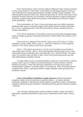 Branduolinės energetikos esmė 8 puslapis