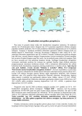 Branduolinės energetikos esmė 9 puslapis