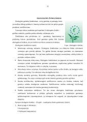 Brūkšninis kodas ir bendrieji prekės ženklinimo reikalavimai 15 puslapis