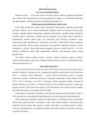 Brūkšninis kodas ir bendrieji prekės ženklinimo reikalavimai 4 puslapis