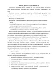 Brūkšninis kodas ir bendrieji prekės ženklinimo reikalavimai 8 puslapis