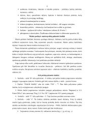 Brūkšninis kodas ir bendrieji prekės ženklinimo reikalavimai 9 puslapis