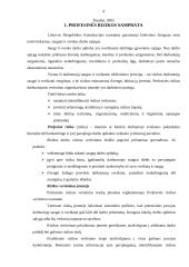 Buhalterio profesinė rizika 2 puslapis