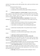 Buhalterio profesinė rizika 11 puslapis