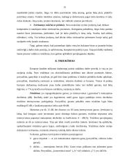 Buhalterio profesinė rizika 13 puslapis