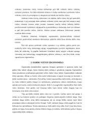 Buhalterio profesinė rizika 3 puslapis