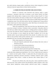 Buhalterio profesinė rizika 5 puslapis