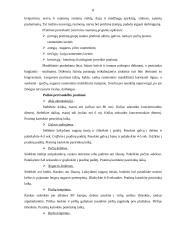 Buhalterio profesinė rizika 6 puslapis