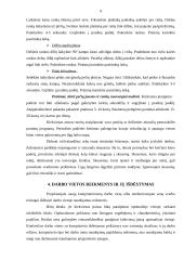 Buhalterio profesinė rizika 7 puslapis