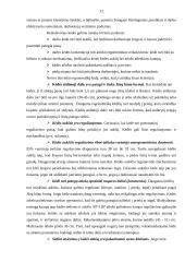 Buhalterio profesinė rizika 10 puslapis