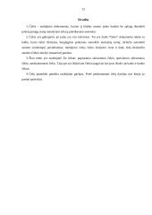 Čekių apmokėjimas 12 puslapis