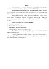 Čekių apmokėjimas 3 puslapis