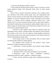 Čekių apmokėjimas 5 puslapis