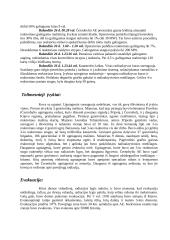 Černobylio atominės elektrinės katastrofa 3 puslapis