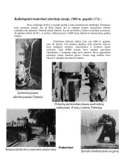 Černobylio atominės elektrinės katastrofa 5 puslapis