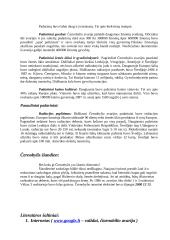 Černobylio atominės elektrinės katastrofa 6 puslapis