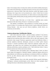 Dabarties ir ateities organizacija: personalo motyvavimo sistemos vertinimo aspektai 13 puslapis