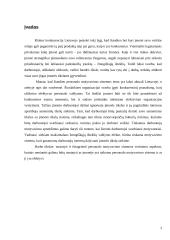Dabarties ir ateities organizacija: personalo motyvavimo sistemos vertinimo aspektai 3 puslapis