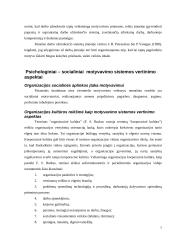 Dabarties ir ateities organizacija: personalo motyvavimo sistemos vertinimo aspektai 7 puslapis
