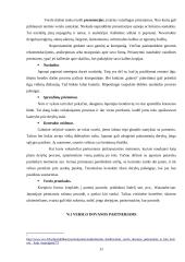 Dalykinės komunikacijos ypatumai Japonijoje 11 puslapis