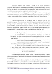 Dalykinės komunikacijos ypatumai Japonijoje 12 puslapis