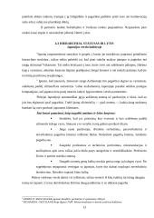 Dalykinės komunikacijos ypatumai Japonijoje 13 puslapis