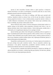 Dalykinės komunikacijos ypatumai Japonijoje 14 puslapis