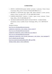 Dalykinės komunikacijos ypatumai Japonijoje 15 puslapis