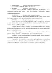 Dalykinės komunikacijos ypatumai Japonijoje 7 puslapis