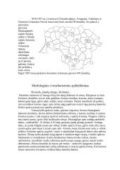 Danielius 3 puslapis