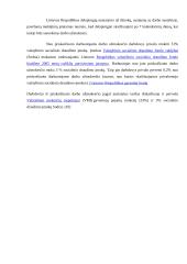 Darbo apmokėjimo formų ir sistemų taikymas įmonėje 13 puslapis