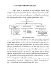 Darbo apmokėjimo formų ir sistemų taikymas įmonėje 7 puslapis