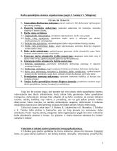 Pagrindiniai darbo apmokėjimo sistemos reikalavimai ir kas lemia atlygio dydį 5 puslapis