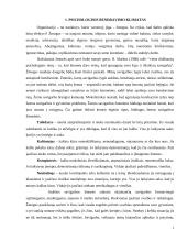 Darbo atmosfera 2 puslapis