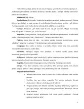 Darbo atmosfera 11 puslapis