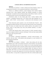Darbo atmosfera 14 puslapis