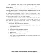 Darbo atmosfera 8 puslapis