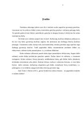 Darbo efektyvumas ir jo didinimo būdai 2 puslapis